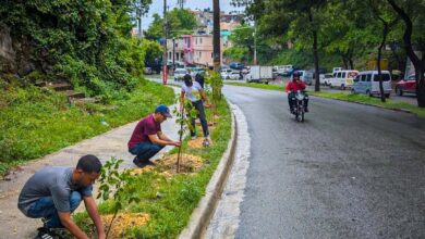 FFundación impulsa jornada de reforestación en Cristo Rey