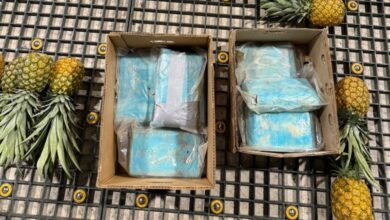 DNCD frustra envío de 30 paquetes presumiblemente cocaína a Alemania