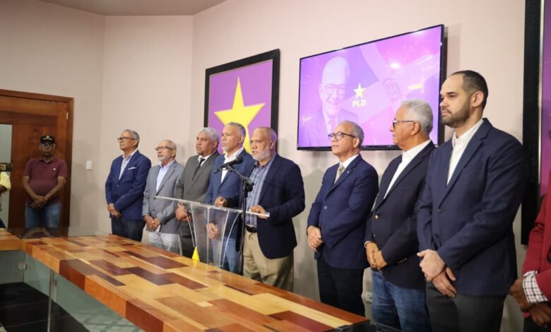 PLD propone medidas urgentes ante crisis eléctrica