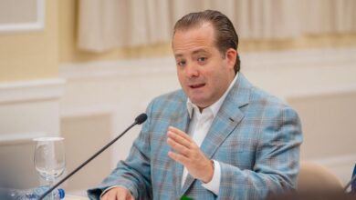 Paliza presenta al Senado estrategia Meta RD 2036