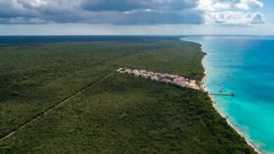 Tribunal falla a favor del Estado en caso de expropiación de terrenos del Parque Cotubanamá