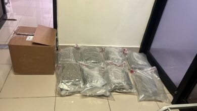 DNCD confisca 15 paquetes de marihuana en el AILA