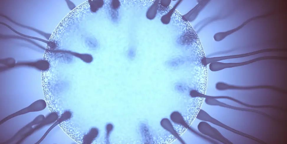 Ciencia: eyacular regularmente mejora la calidad del esperma