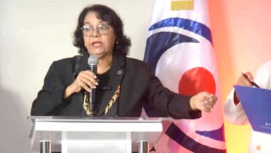 Presidenta de la Cámara de Cuentas dice que el aumento salarial era un incentivo por la carga de trabajo