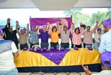 Proyecto presidencial de Gonzalo Castillo realiza masivos encuentros durante este fin de semana