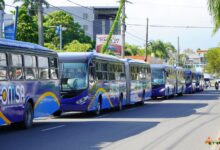 Nuevos autobuses de la OMSA comienzan a operar este domingo