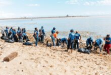 Alcaldía del DN, Medio Ambiente y otras entidades realizan limpieza en playa Montesinos
