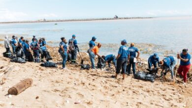 Alcaldía del DN, Medio Ambiente y otras entidades realizan limpieza en playa Montesinos