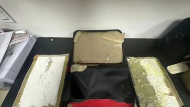 DNCD frustra envío de cocaína oculta en carpetas a EE. UU. y Róterdam