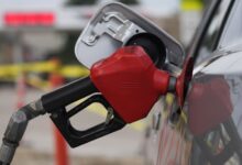 Gobierno congela precios de los combustibles