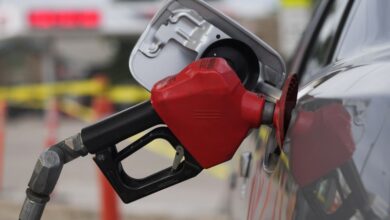 Gobierno congela precios de los combustibles
